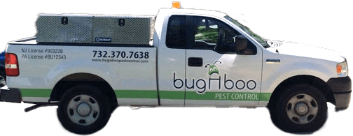 Bugaboo Pest Control service truck
