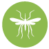 Mosquitoes